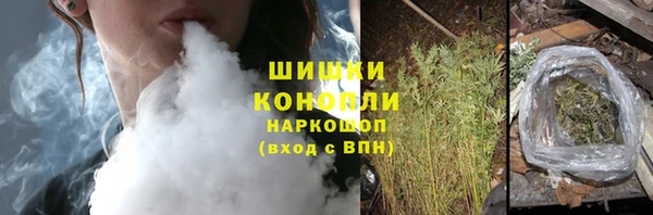 дурь Богданович
