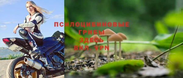 ALPHA PVP Богородицк