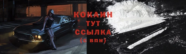 дурь Богданович
