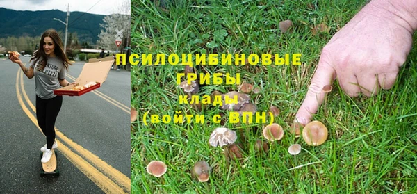 прущая мука Верхний Тагил