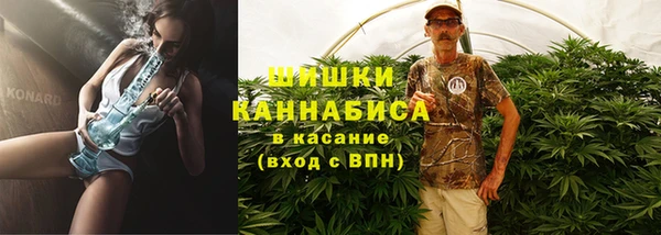 стаф Бугульма