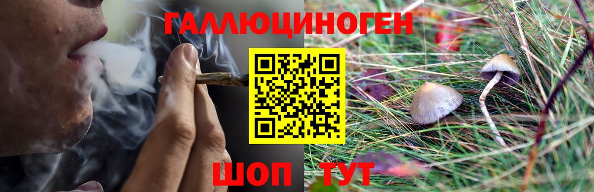 Псилоцибиновые грибы Psilocybine cubensis  Вход с VPN  Рыбинск 